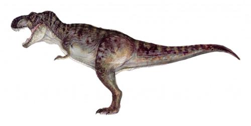 T-Rex preview image